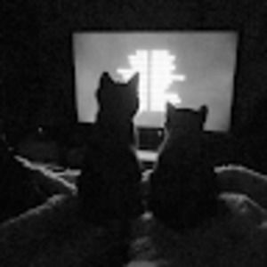 Meet your Posher, Arrow